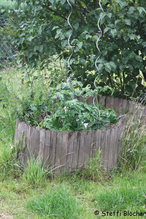 hochbeet.jpg