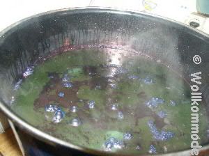 schillernd - duftend - färbend...